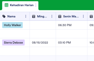 Lembar Kehadiran Harian Spreadsheet Template