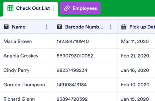 Library Check Out Spreadsheet Template