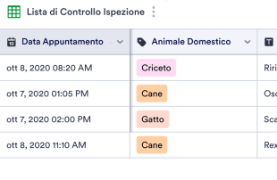 Lista di Controllo per l'Ispezione del Salone di Toelettatura Modello di foglio di calcolo