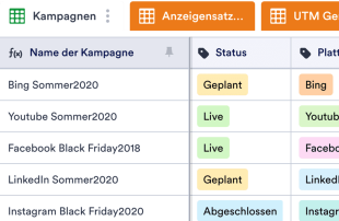 Marketing-Kampagnen-Vorlage Tabellenvorlage