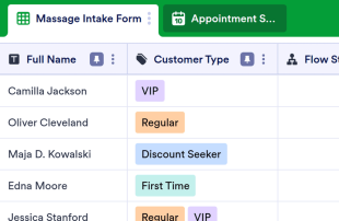 Massage CRM Spreadsheet Template