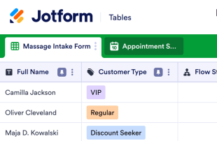 Massage CRM Template