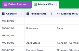 Medical Chart Template Spreadsheet Template