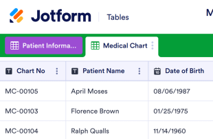 Medical Chart Template Spreadsheet Template