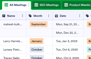 Meeting Attendance Spreadsheet Template