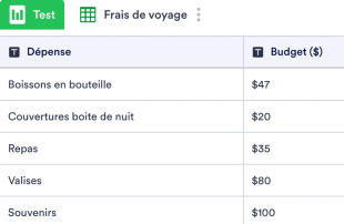 Modèle de buget de voyage Modèle de feuille de calcul