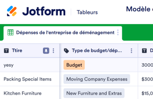 Modèle de formulaire de détails des frais de déménagement Modèle de feuille de calcul