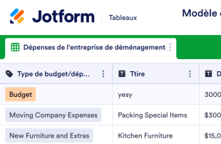 Modèle de formulaire de détails des frais de déménagement Modèle de feuille de calcul