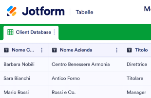 Modello Database Clienti Modello di foglio di calcolo