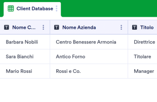 Modello Database Clienti Modello di foglio di calcolo