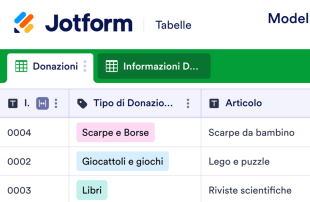 Modello di Elenco delle Donazioni Modello di foglio di calcolo