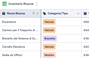 Modello di Inventario delle Risorse Template
