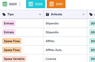 Modello di Spese Annuali Template