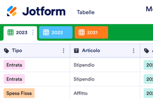 Modello di Spese Annuali Template