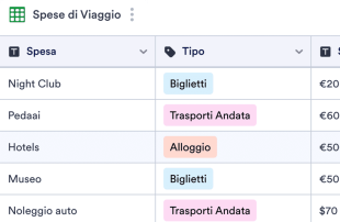 Modello di Spese di Viaggio Template