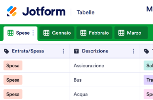Modello di Spese Mensili Modello di foglio di calcolo