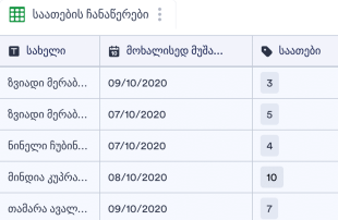 მოხალისის საათების ჩანაწერების ცხრი? Spreadsheet Template