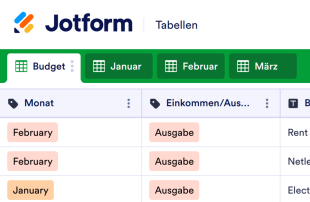 Monatliches Budget Tabellenvorlage