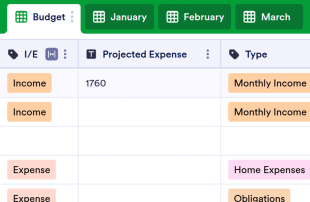 Monthly Budget Template Spreadsheet Template