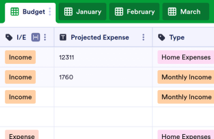Monthly Budget Template Spreadsheet Template