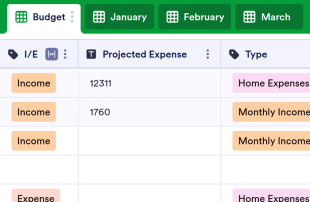 Monthly Budget Template Spreadsheet Template