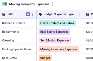 Moving Budget Template Spreadsheet Template