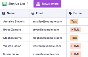 Newsletter Signup Spreadsheet Template