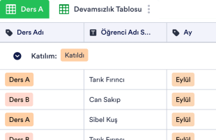 Okul Devamsızlık Tablo Şablonu