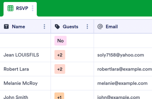Party Guest List Template Spreadsheet Template