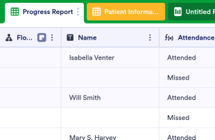 Patient Tracker Template Spreadsheet Template