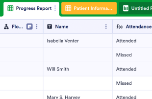 Patient Tracker Template Spreadsheet Template
