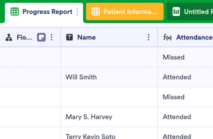 Patient Tracker Template Spreadsheet Template