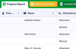 Patient Tracker Template Spreadsheet Template