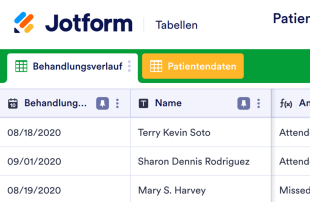 Patienten Behandlungsübersicht Tabellenvorlage