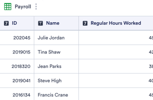 Payroll Template