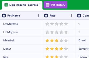 Pet Training Log Spreadsheet Template
