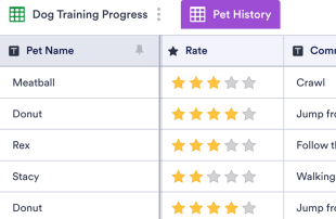 Pet Training Log Template