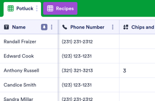 Picnic Food Sign Up Spreadsheet Template