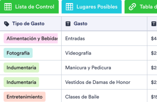 Planificador de Bodas Plantilla de Hoja de Cálculo