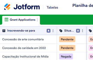Planilha de Acompanhamento de Subsídios Template
