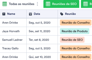 Planilha de comparecimento em reunião Spreadsheet Template