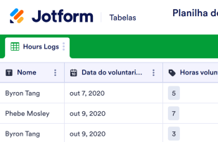 Planilha de Registro de Horas Voluntárias Template