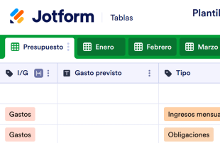 Plantilla de presupuesto mensual Spreadsheet Template