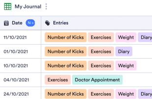 Pregnancy Journal Spreadsheet Template