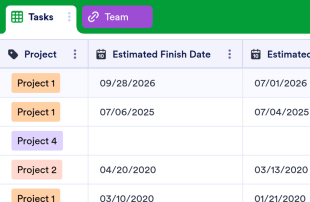 Project Tracker Spreadsheet Template