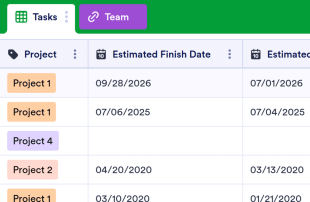 Project Tracker Spreadsheet Template