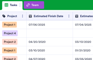 Project Tracker Spreadsheet Template