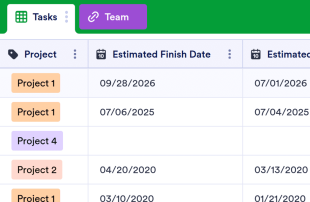 Project Tracker Spreadsheet Template