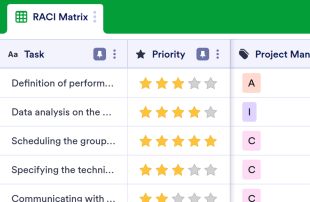 RACI Matrix Template Spreadsheet Template