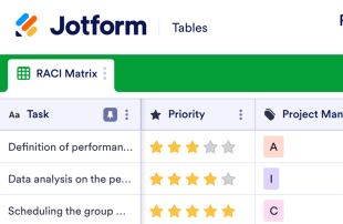 RACI Matrix Template Spreadsheet Template
